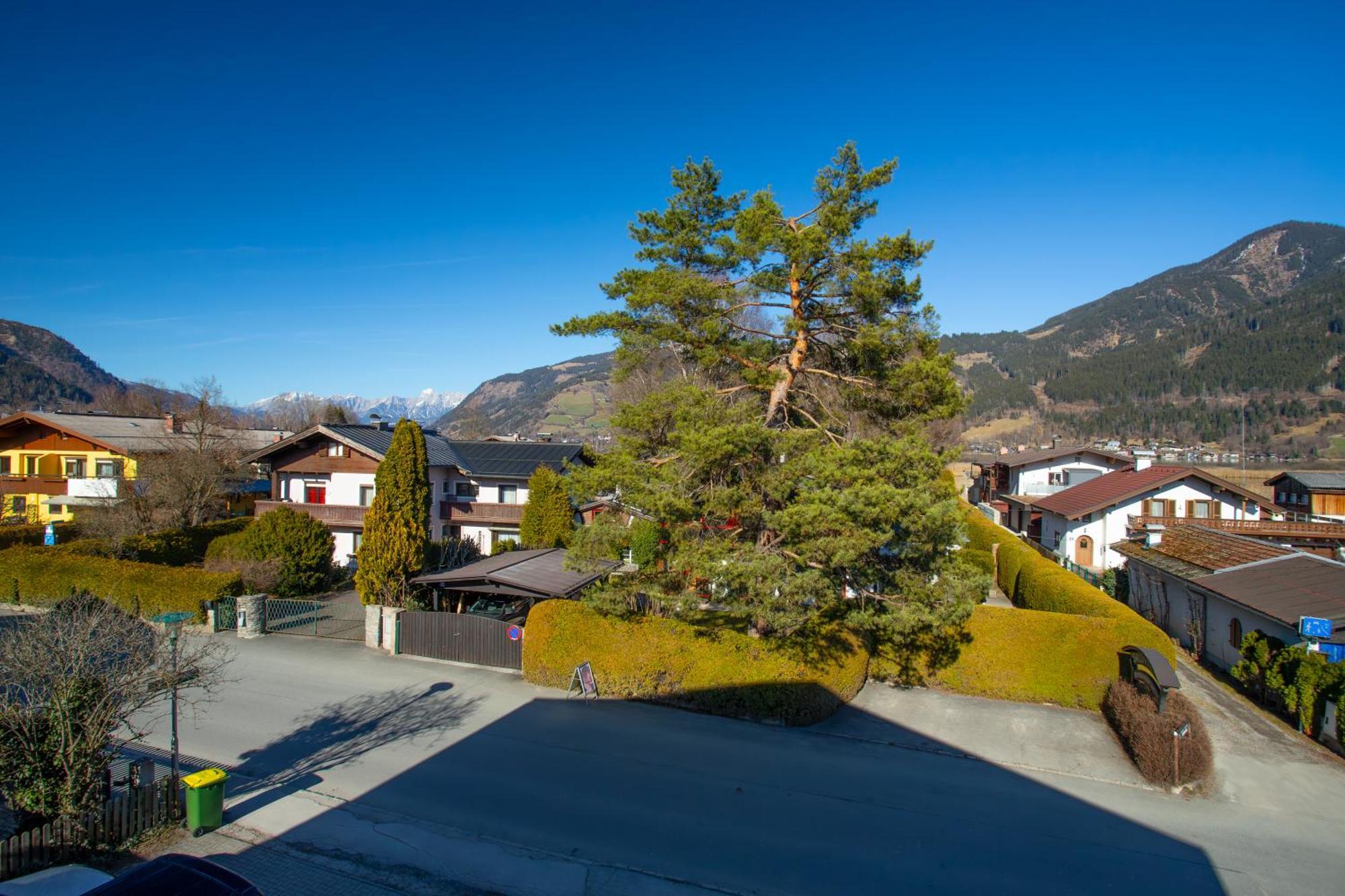 Alpina Apartments - Zell Am See Extérieur photo